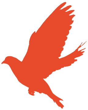 undefined 640 (1).png